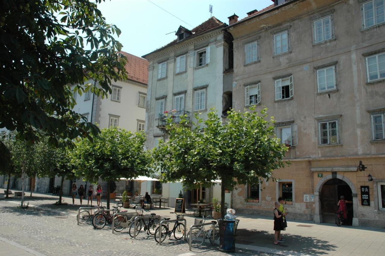 Vitez I Ljubljana