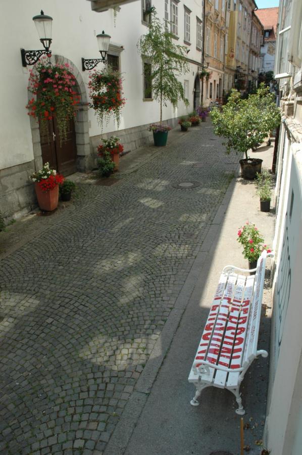 Vitez I Ljubljana