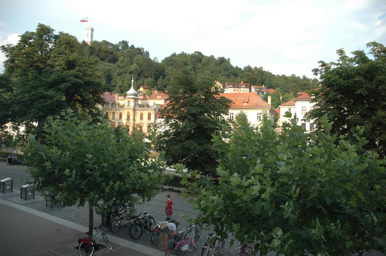 Vitez I Apartment *